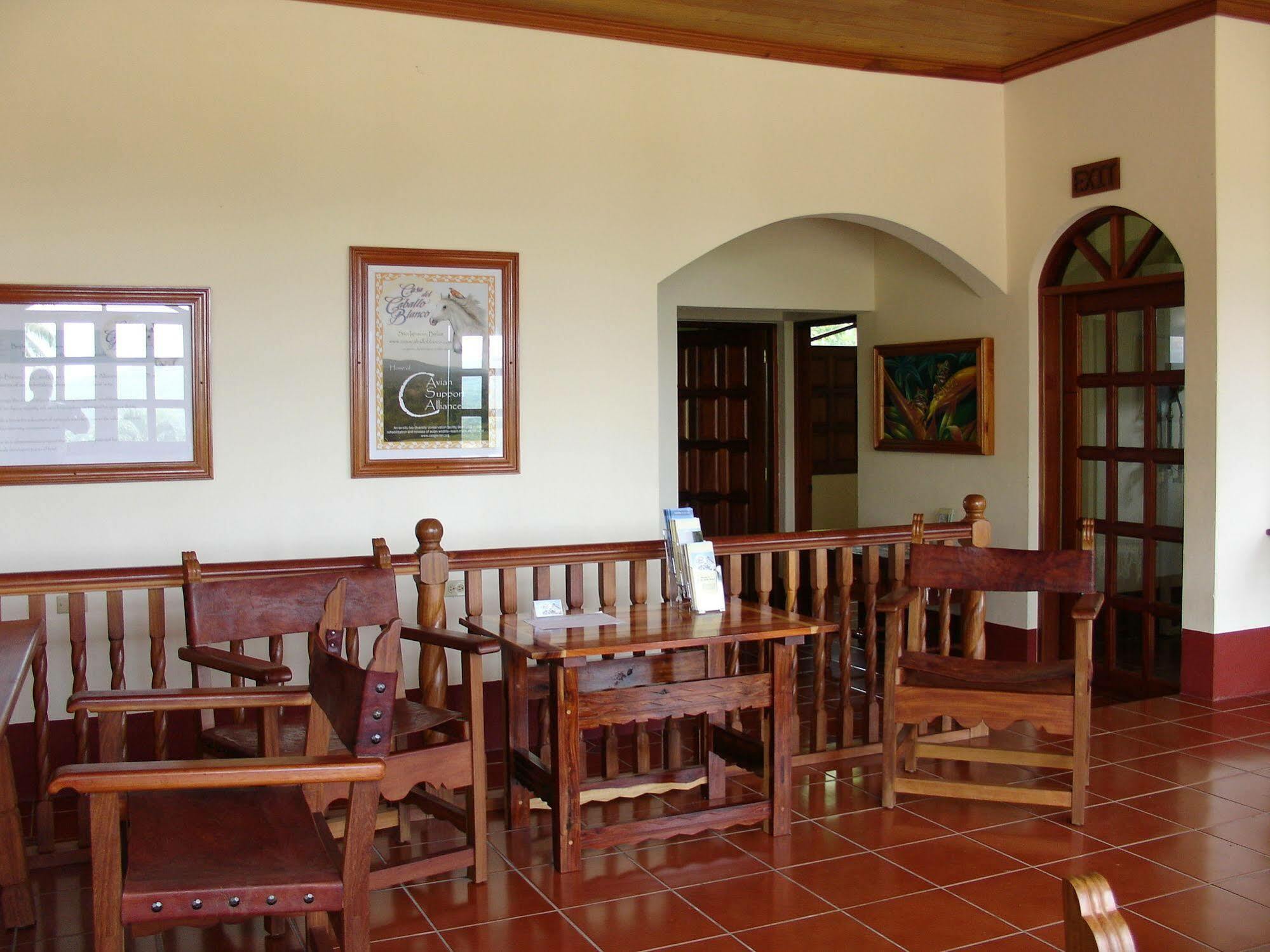 Casa Del Caballo Blanco Hotel San Ignacio Exterior photo