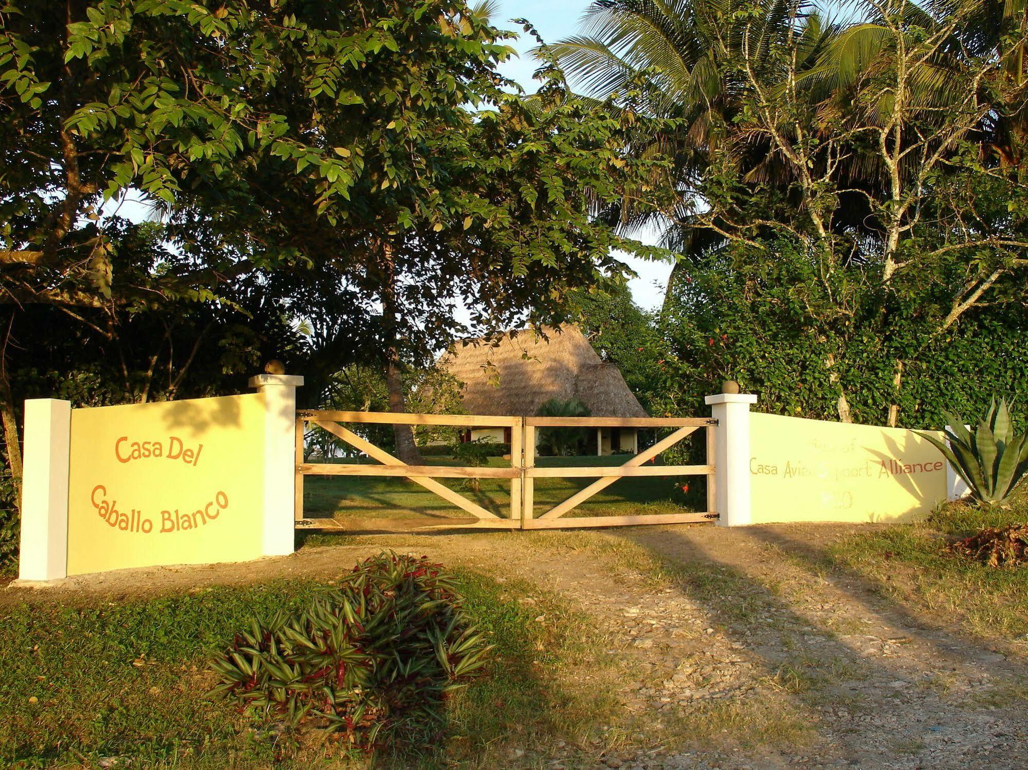 Casa Del Caballo Blanco Hotel San Ignacio Exterior photo