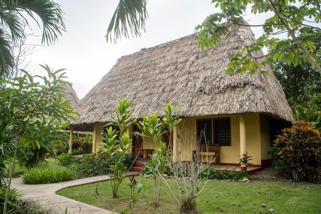 Casa Del Caballo Blanco Hotel San Ignacio Exterior photo